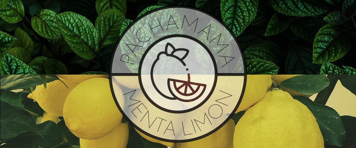 Pachamama Menta Limon to orzeźwiająca guayusa idealna dla każdego.