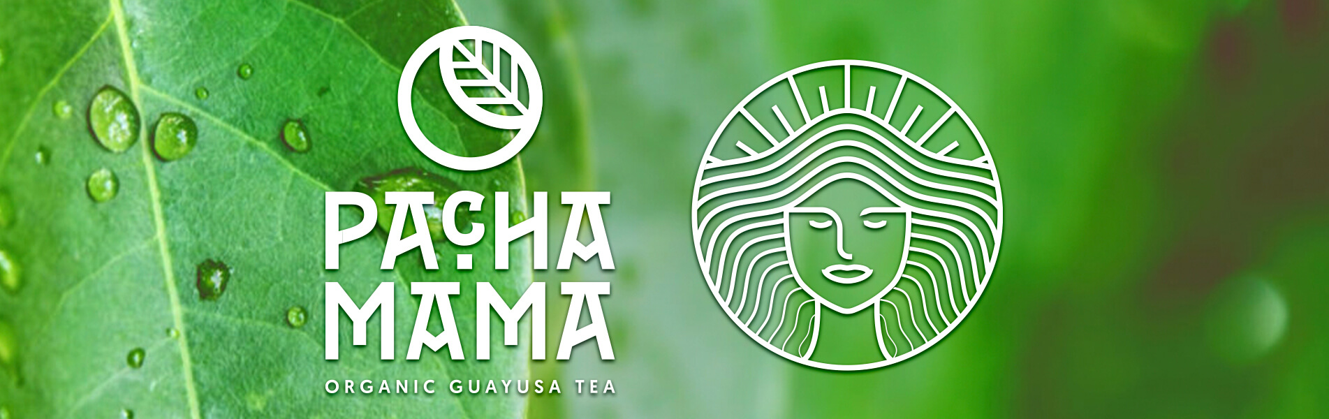 Sklep Guayusa - Pachamama Guayusa 